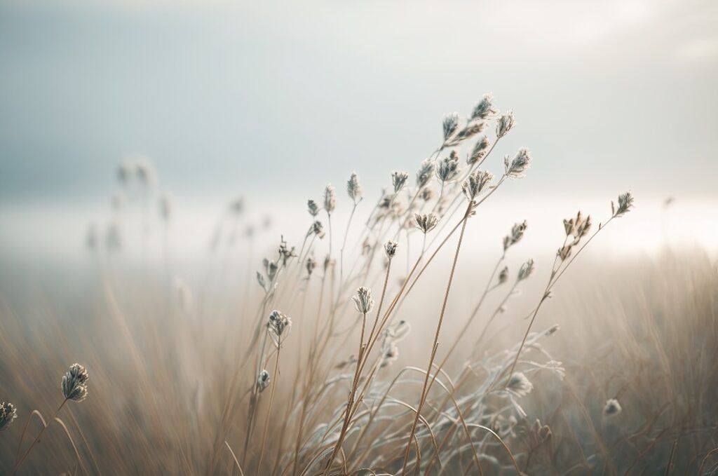 Blossoming grass with a gentle breeze against a misty sky in the morning. This image is calm and serene, with a straightforward zen tone. nature in pastel tones in spring. Generative AI